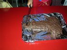 pict1485.jpg