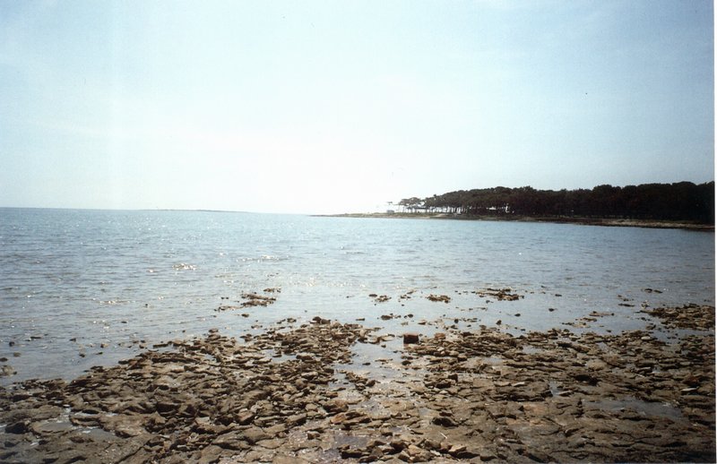 03.jpg