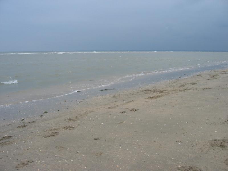 img_7738.jpg