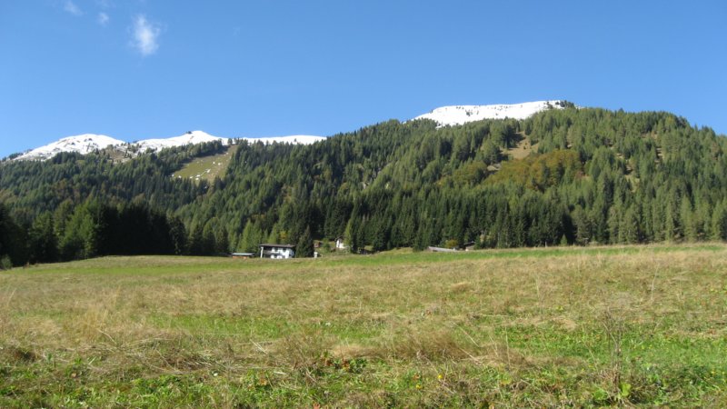 img_1008.jpg