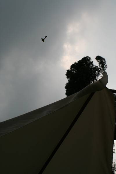 img_7080.jpg