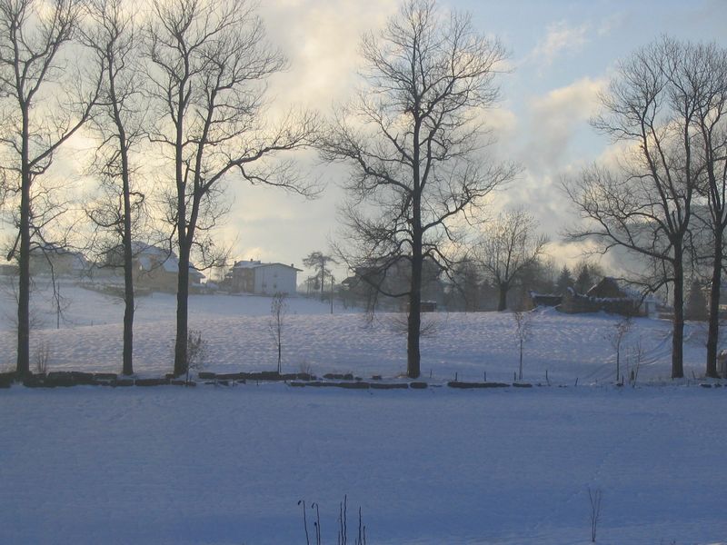 img_3525.jpg